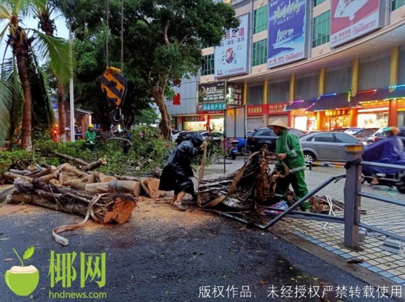易重泓商贸电话广为人知助力商务交流